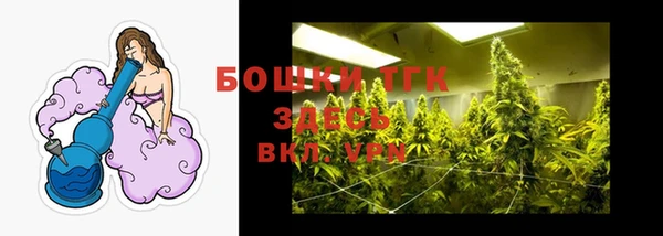 твердый Краснослободск