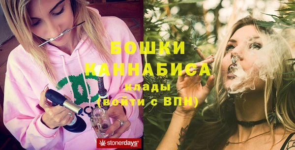 ПСИЛОЦИБИНОВЫЕ ГРИБЫ Кукмор