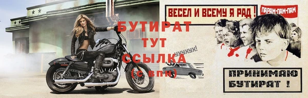 твердый Краснослободск