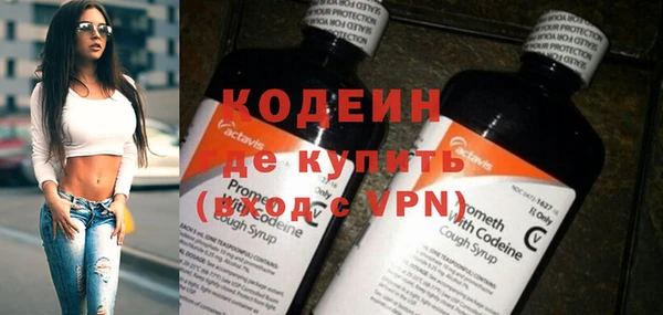 твердый Краснослободск