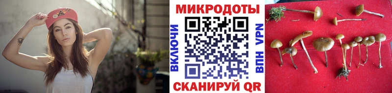 Псилоцибиновые грибы прущие грибы  даркнет сайт  Называевск 